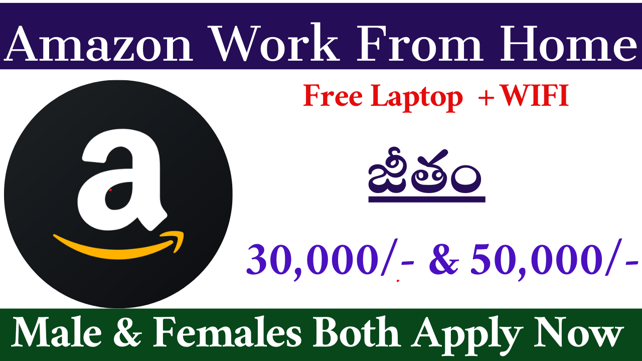 Amazon company Work From Home Jobs 2024
