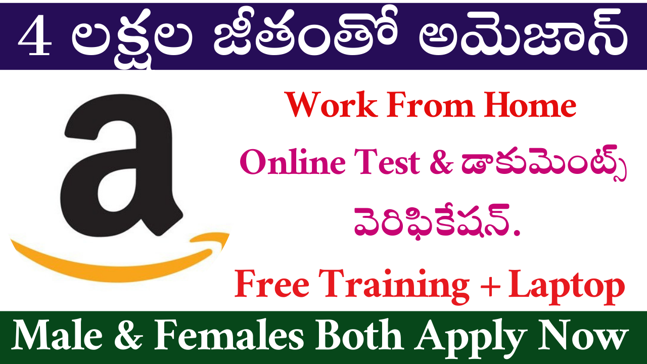 Amazon Company Work From Home Jobs 2024 (1)