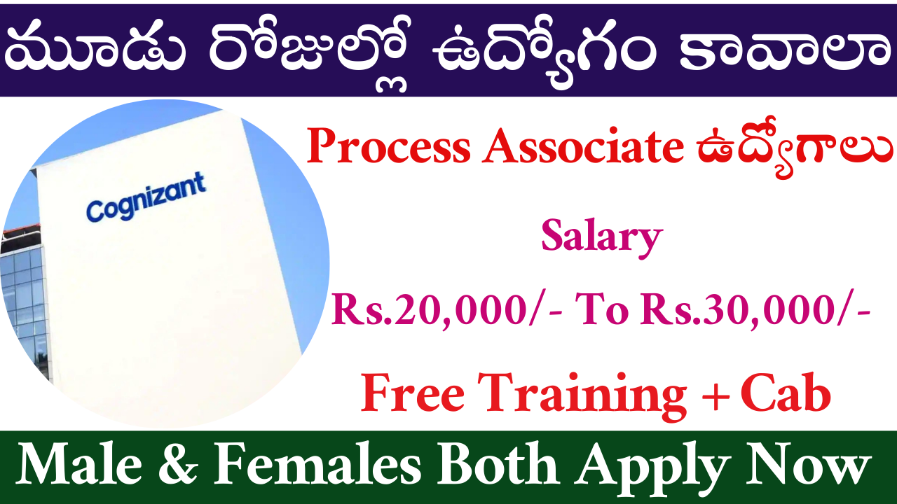 Cognizant Mega Walk in Interview 2024