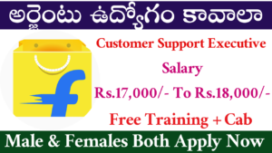 Flipkart Mega Walk in Interview 2024