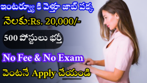 HDB Financial Services Jobs 2024
