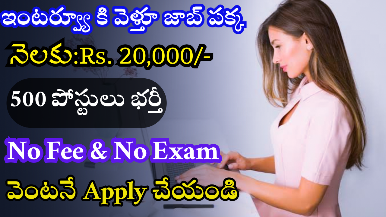 HDB Financial Services Jobs 2024