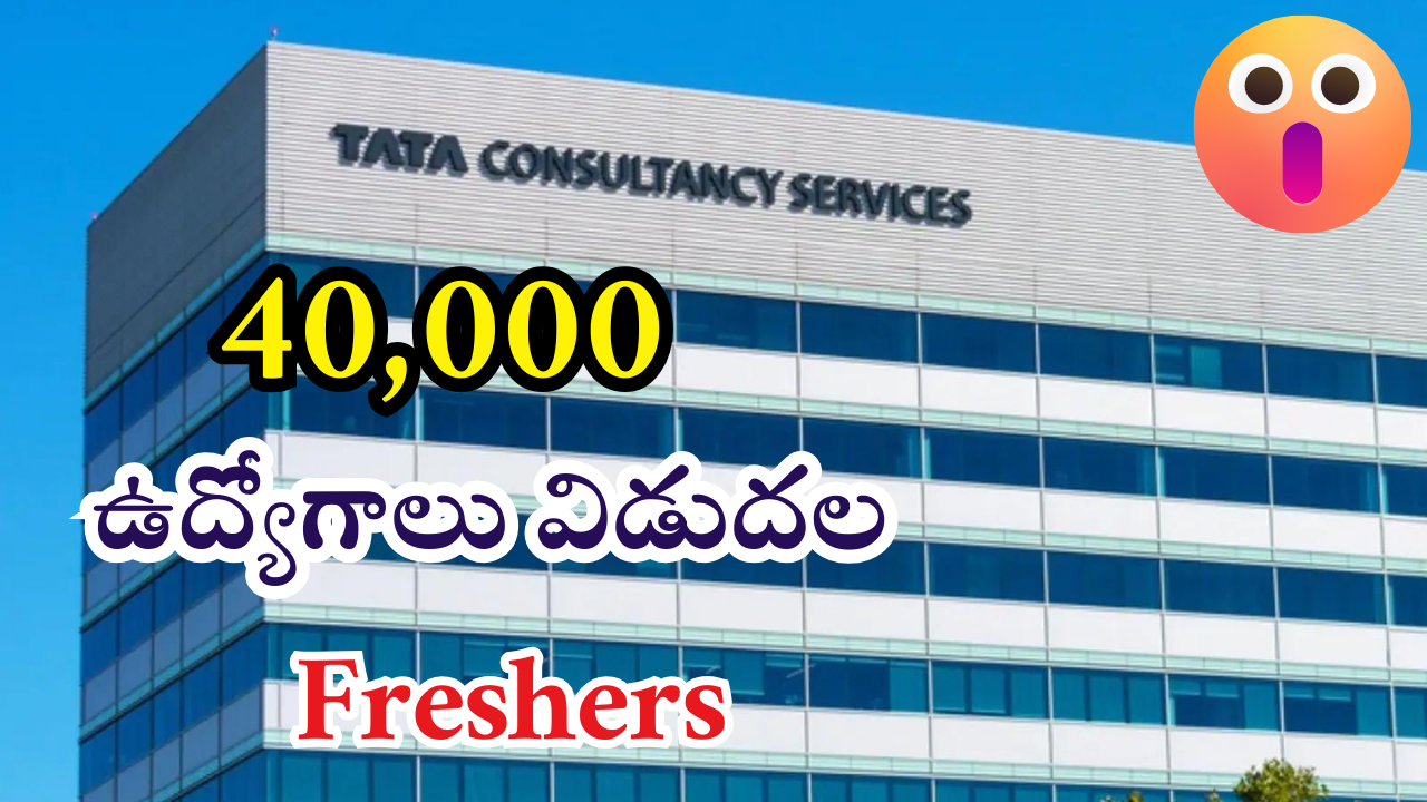 TCS Recruitment 2025