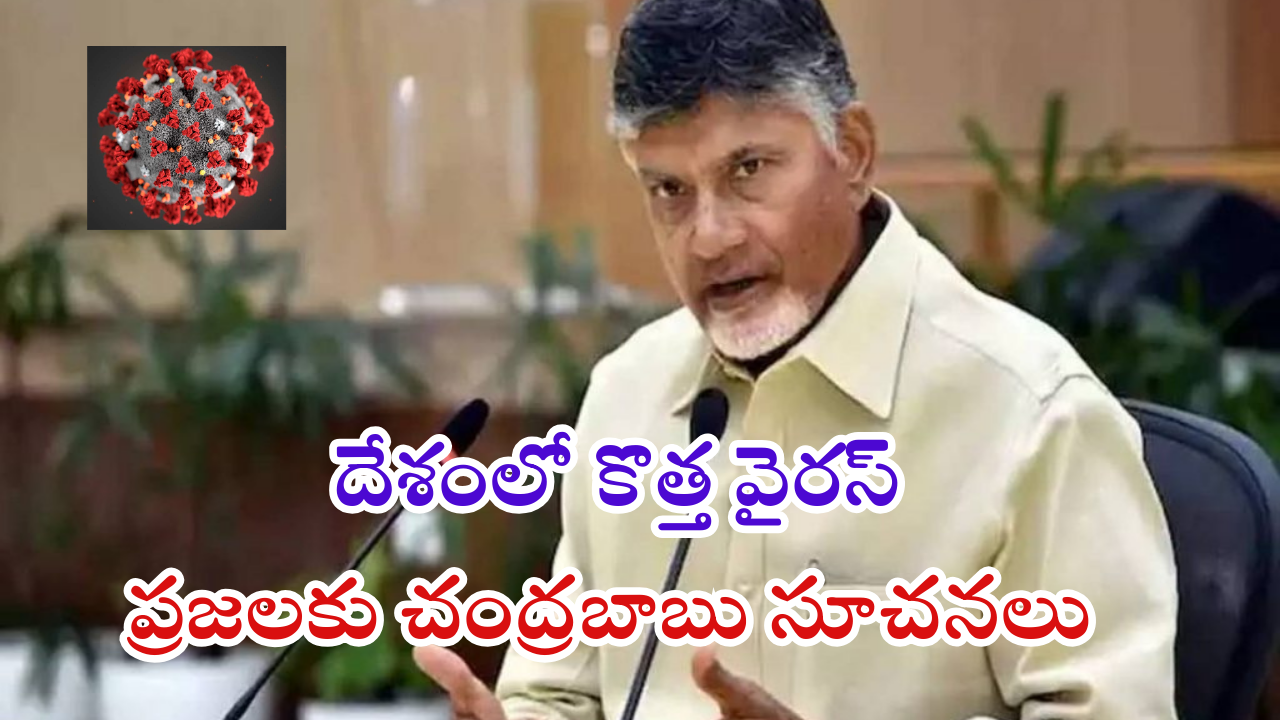 CM Chandrababu Naidu Teleconference with health Depertment